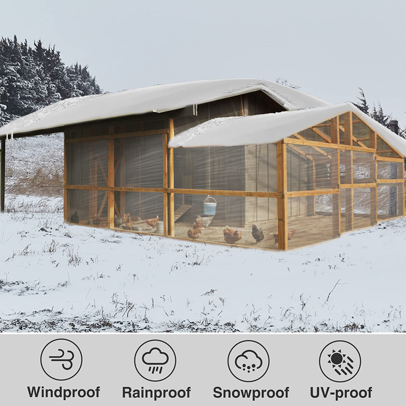 Telone trasparente 2*3 4 5 6 7 - Waterproof Tarp Shelter recensione e prezzo