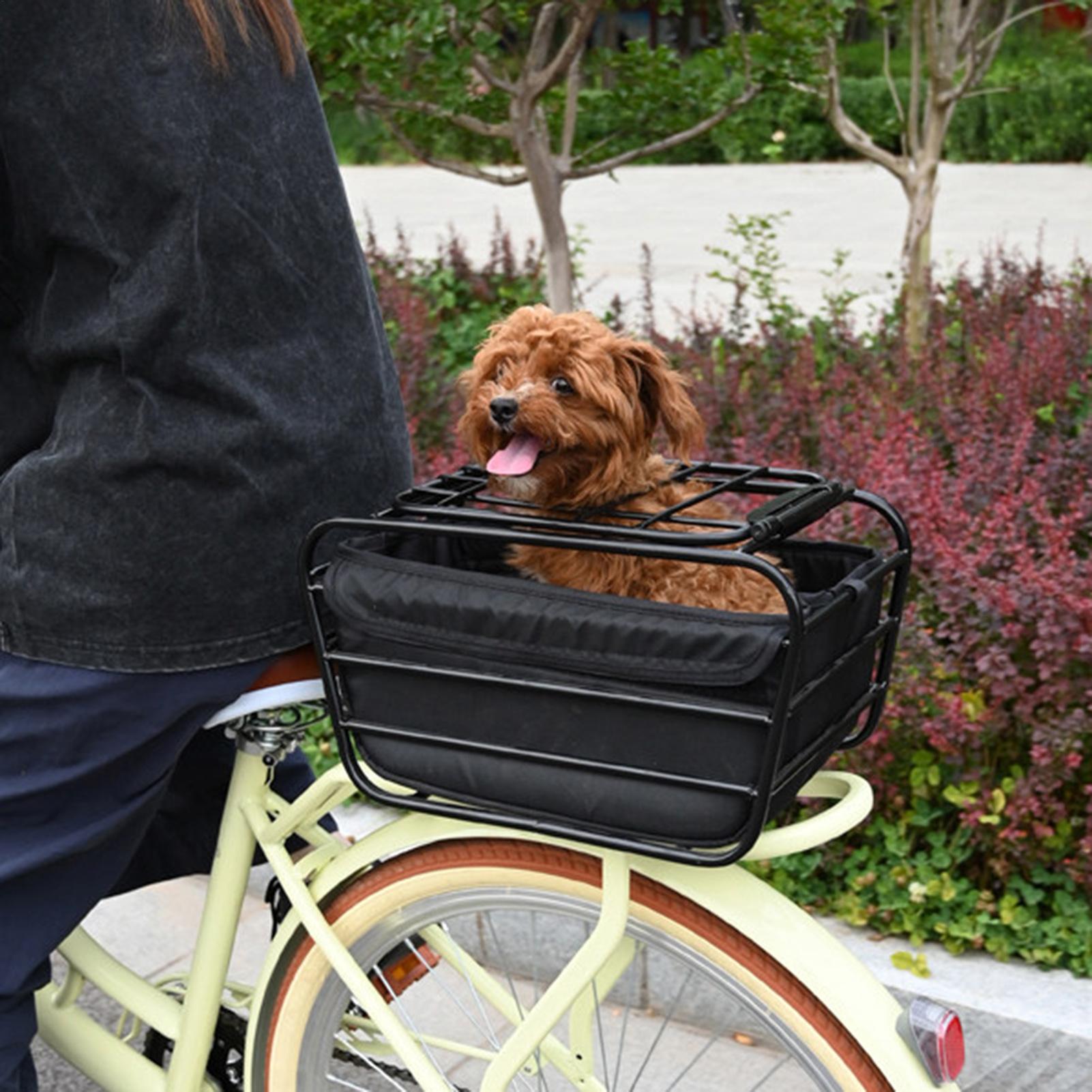 Cestino posteriore per bici, r - Outdoor Camping Stores recensione e prezzo